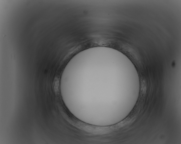 X0000090430036200707131018