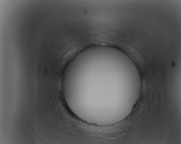 X0000090430043200707131018