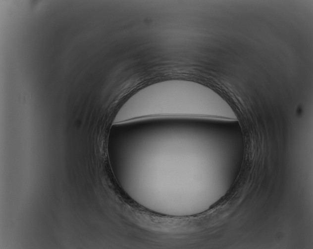 X0000090430044200707131017