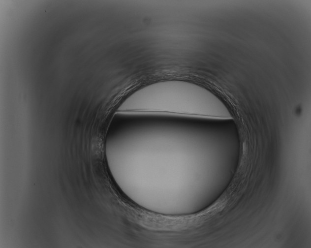 X0000090430048200707131017