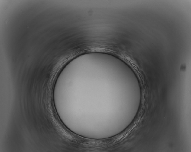 X0000090430049200707131017