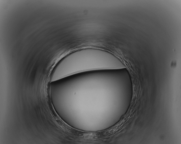 X0000090430050200707131017