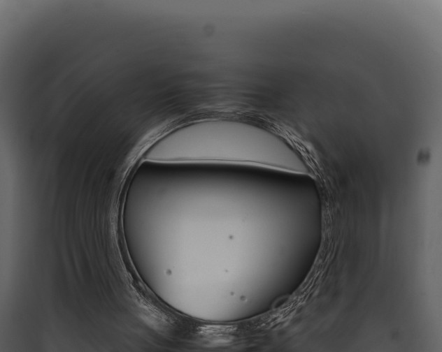 X0000090430051200707131017