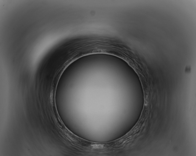 X0000090430052200707131017