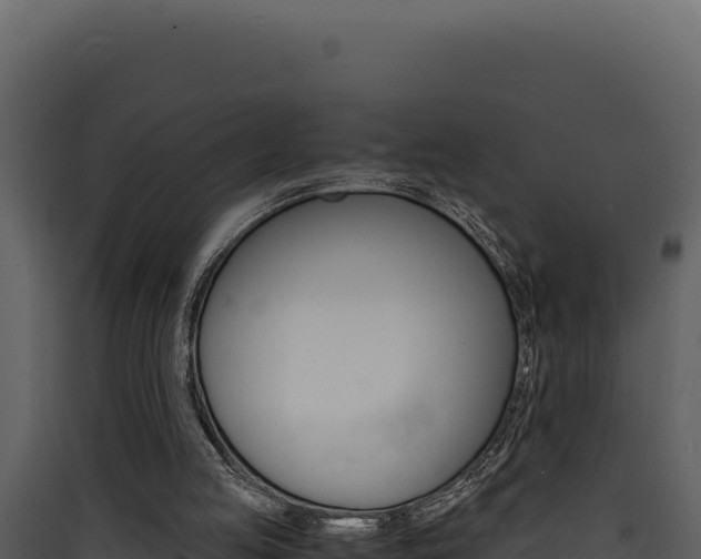 X0000090430053200707131017