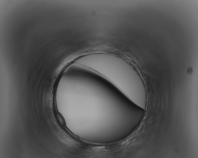 X0000090430054200707131017
