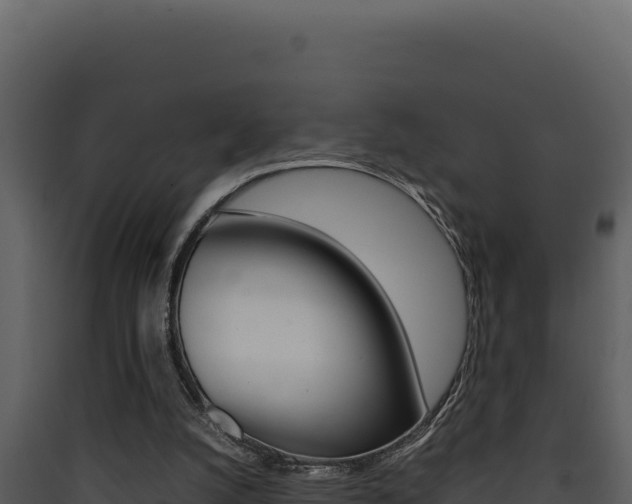 X0000090430056200707131017