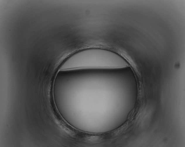 X0000090430058200707131017