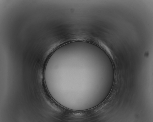X0000090430059200707131017