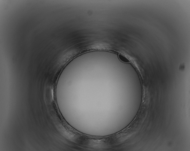 X0000090430061200707131017