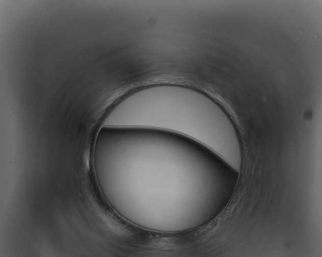 X0000090430062200707131017