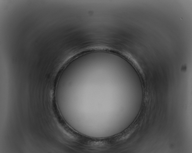 X0000090430063200707131017