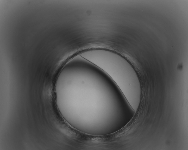X0000090430064200707131017