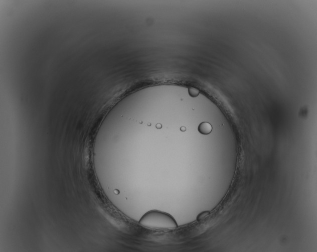 X0000090430065200707131017