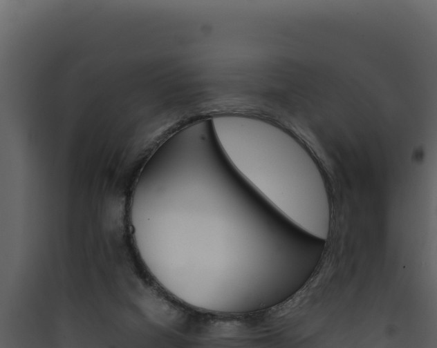 X0000090430066200707131017