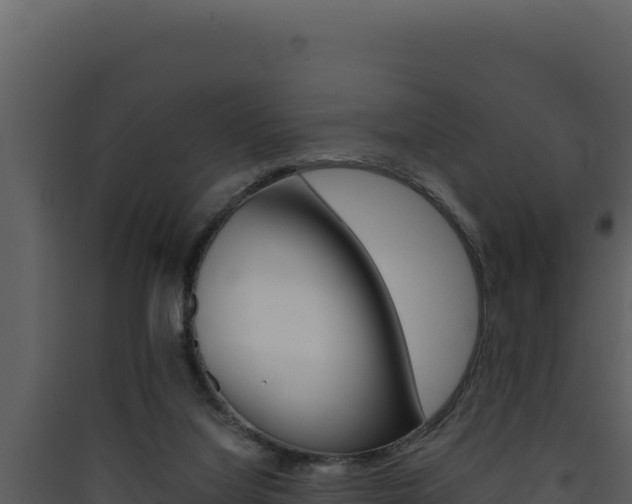 X0000090430068200707131017