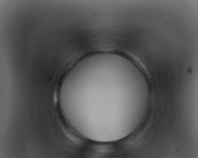 X0000090430069200707131017