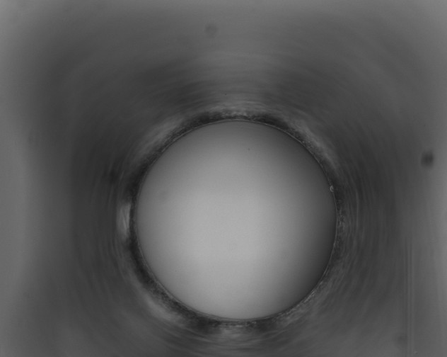 X0000090430070200707131017