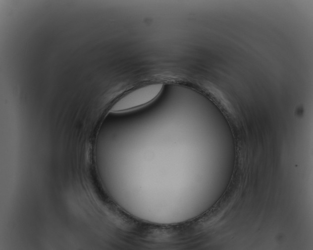 X0000090430071200707131017