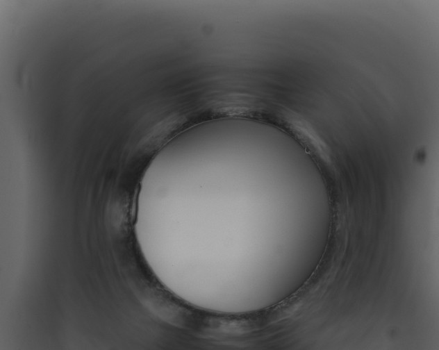 X0000090430073200707131017
