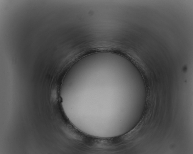 X0000090430074200707131017