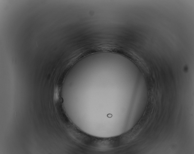 X0000090430075200707131017