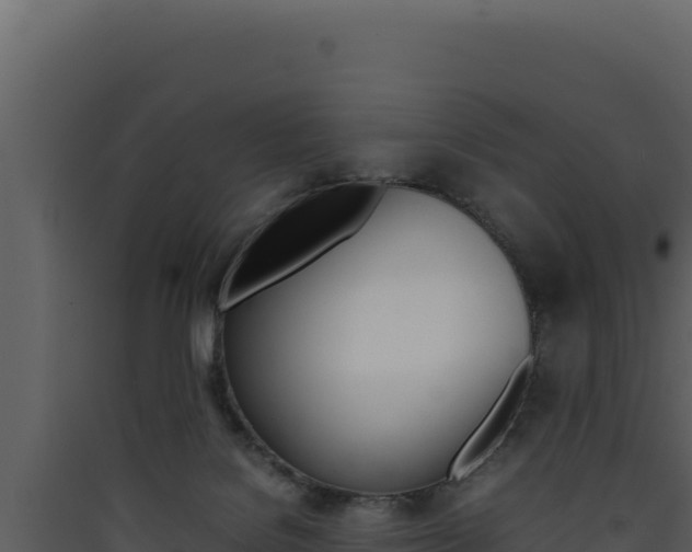 X0000090430076200707131017