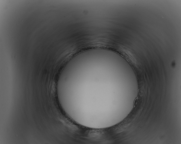 X0000090430077200707131017