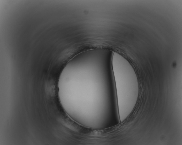 X0000090430080200707131017