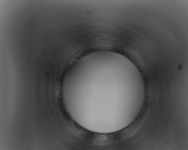 X0000090430083200707131017