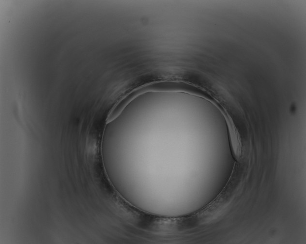 X0000090430084200707131017