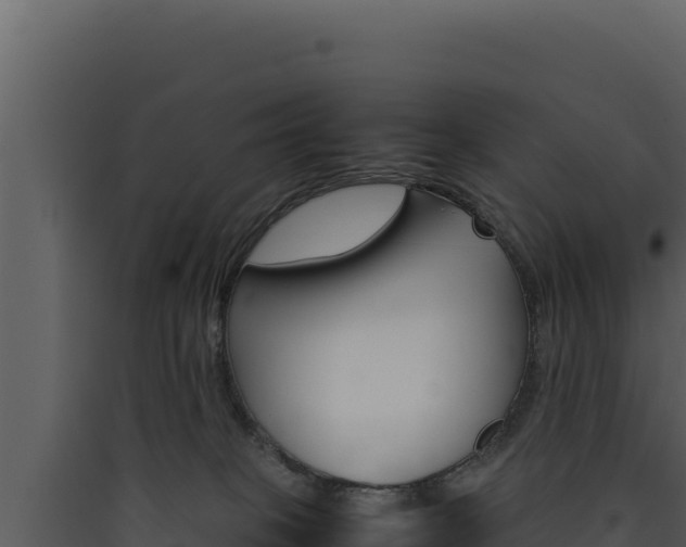 X0000090430085200707131017
