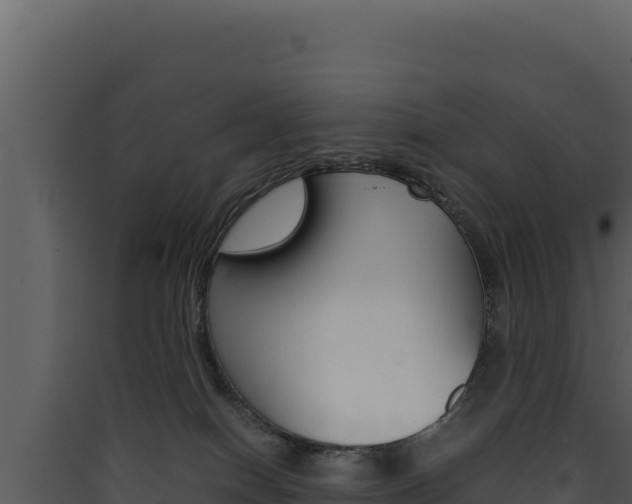 X0000090430086200707131017