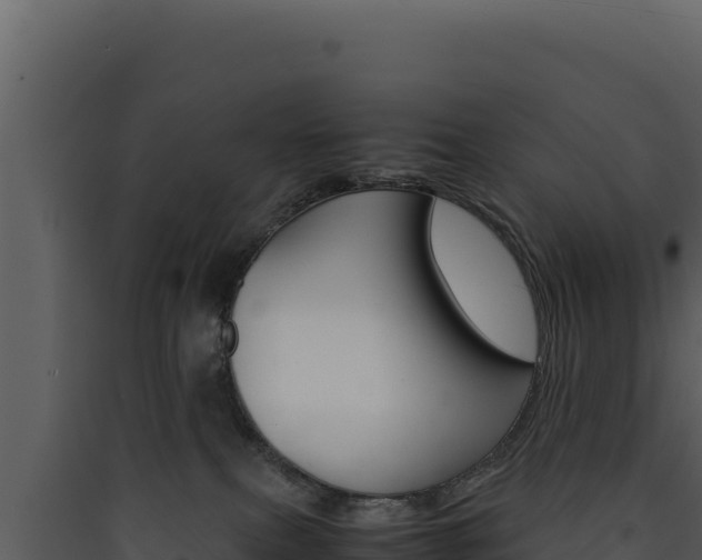 X0000090430087200707131017