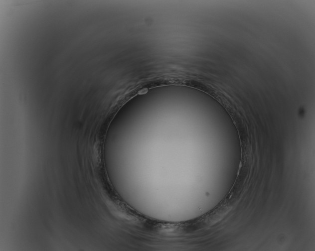 X0000090430088200707131017