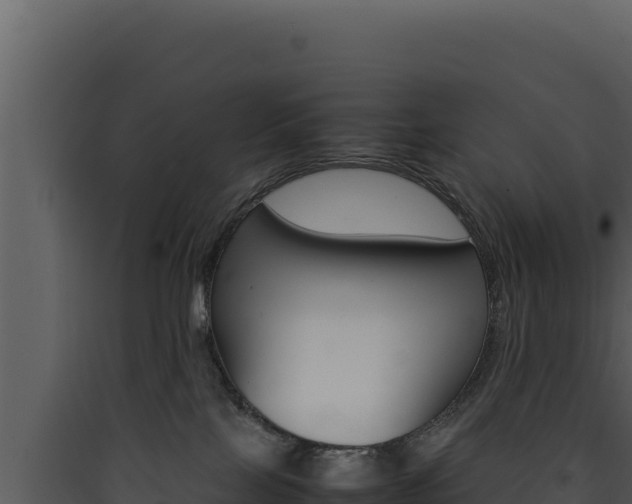 X0000090430089200707131017