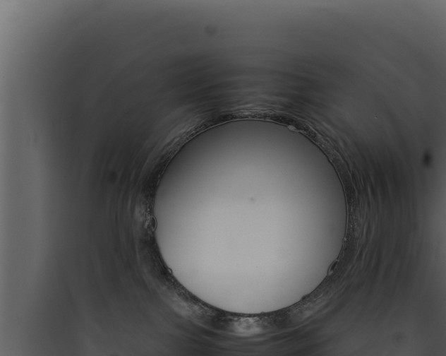 X0000090430091200707131017