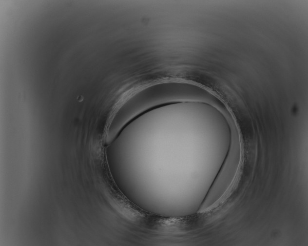 X0000090430092200707131017