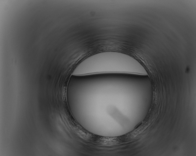 X0000090430093200707131017