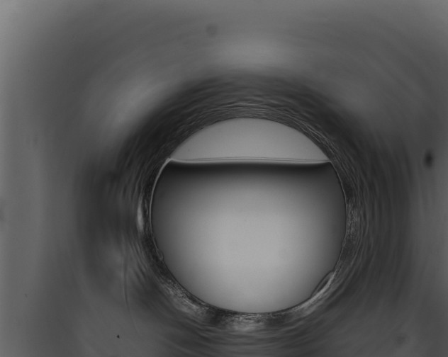 X0000090430094200707131017