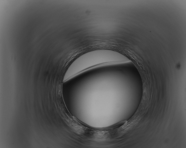 X0000090430096200707131017