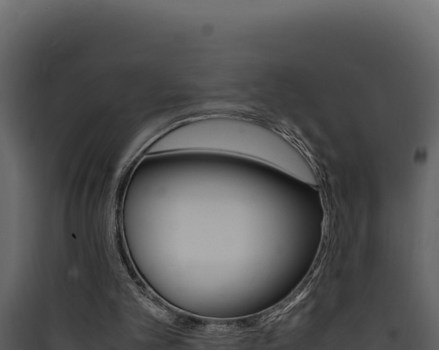 X0000090430101200707131017