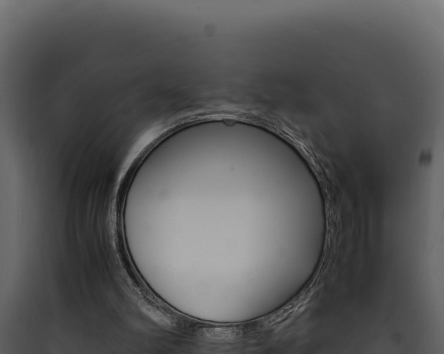 X0000090430102200707131017
