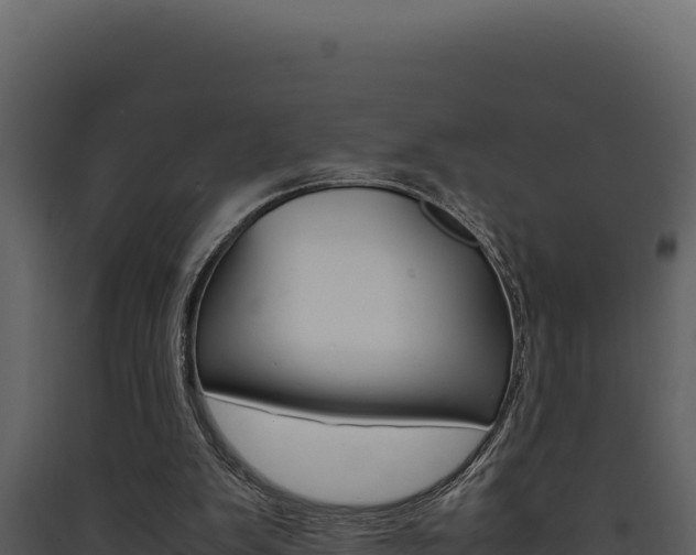 X0000090430103200707131017