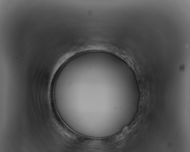 X0000090430104200707131017