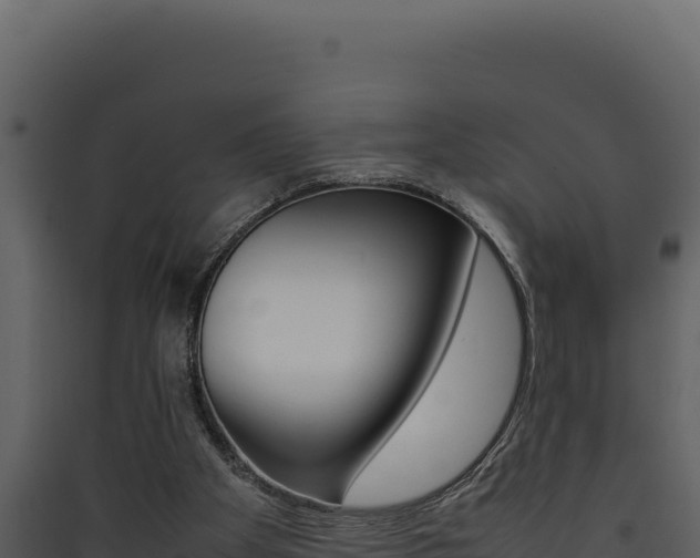 X0000090430105200707131017