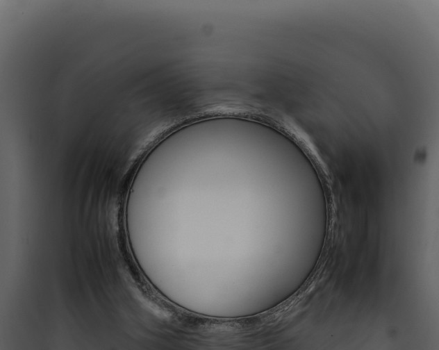 X0000090430106200707131017