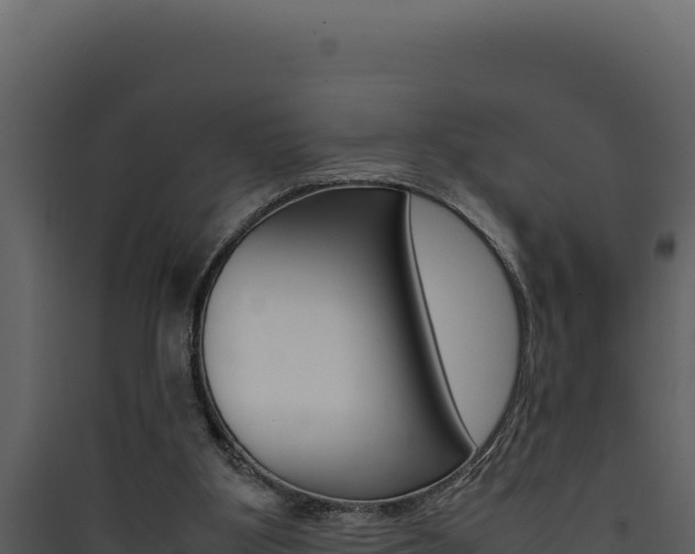 X0000090430107200707131017