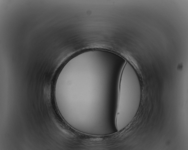 X0000090430108200707131017