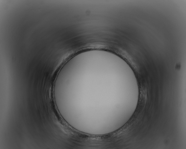 X0000090430110200707131016